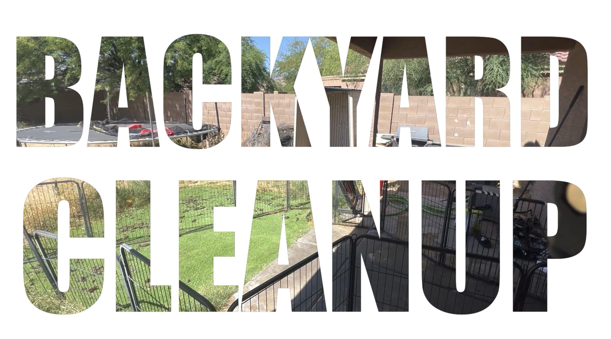 Backyard Cleanup